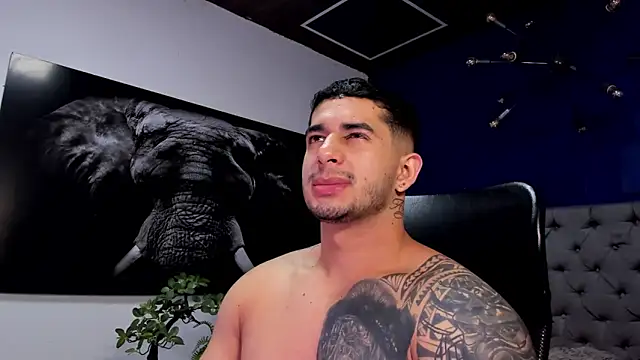 king falconer online show from 20, 12, 2025