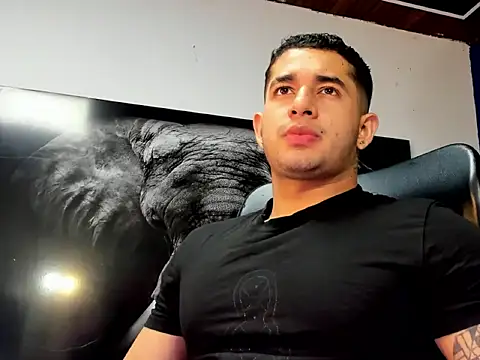 king falconer online show from 2, 12, 2025