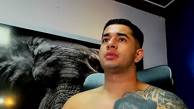 king falconer online show from 30, 11, 2025