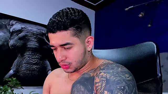 king falconer online show from 14, 1, 2026