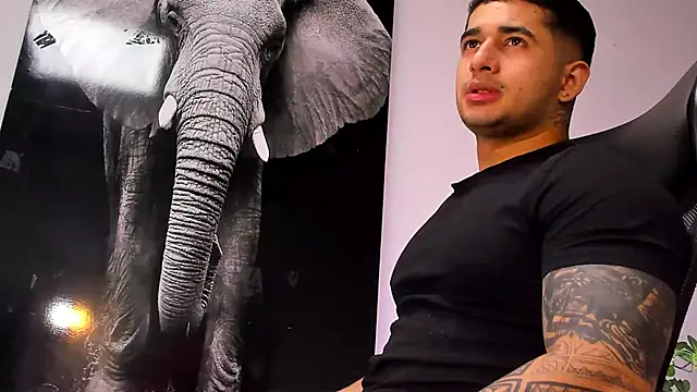 king falconer online show from 28, 10, 2025