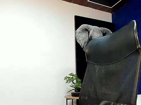 king falconer online show from 5, 11, 2025