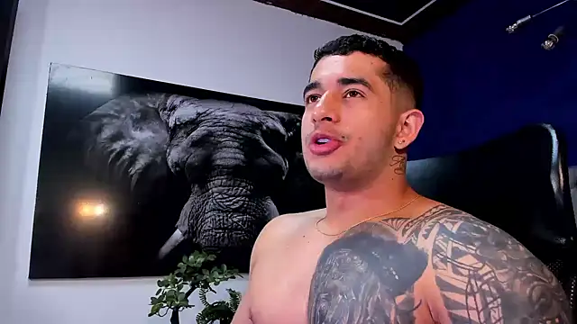 king falconer online show from 11, 1, 2026