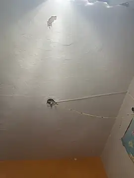 freedmar online show from 2, 4, 2026