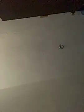 freedmar online show from 16, 10, 2025