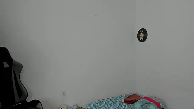 star shooting8 online show from 24, 2, 2026