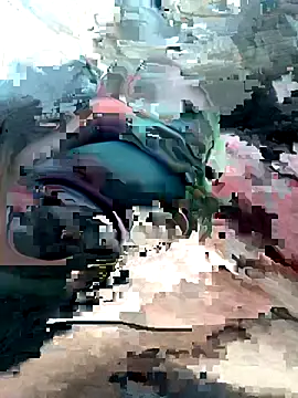 geraldoo007 online show from 28, 10, 2025