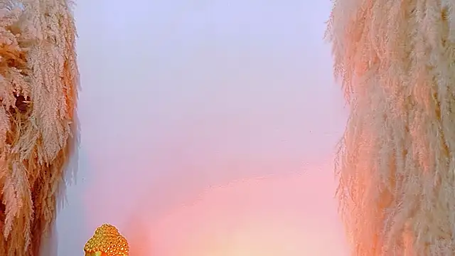 JulietaDavis online show from 8, 4, 2026