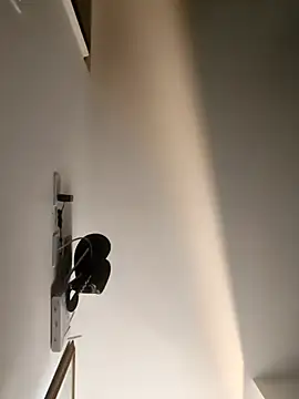 Hiroshi Shen online show from 18, 12, 2025