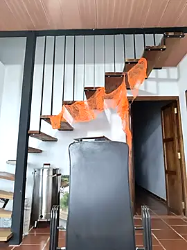 Hiroshi Shen online show from 5, 11, 2025