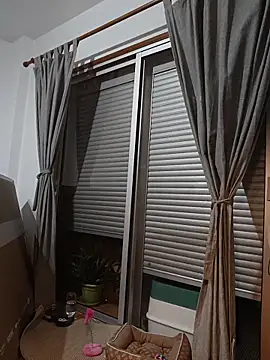 Jbor online show from 26, 2, 2026