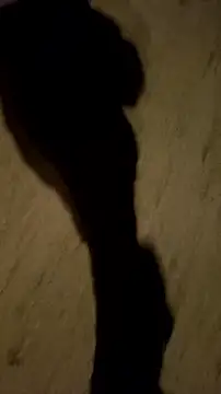 jvdzj-0  online show from 12, 10, 2025