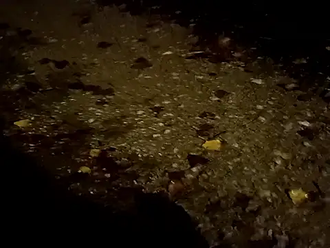 jvdzj-0  online show from 29, 10, 2025