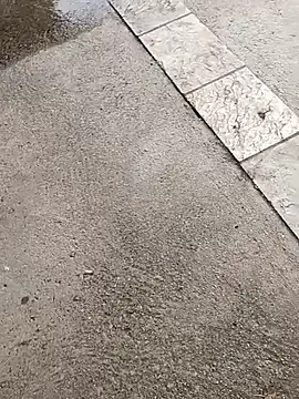 jvdzj-0  online show from 19, 10, 2025