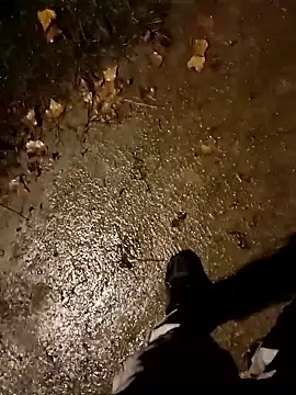 jvdzj-0  online show from 28, 10, 2025