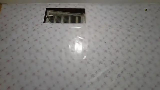 Roselingalvis13 online show from 3, 2, 2026