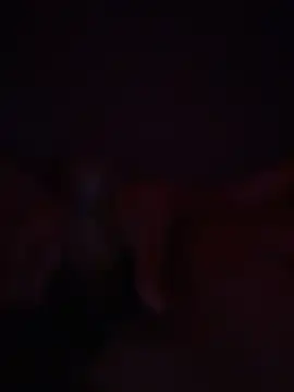 Bray9031 online show from 1, 3, 2026