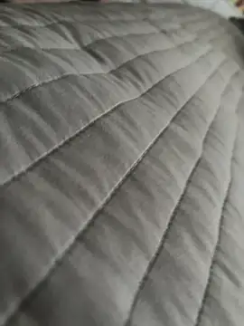 Bray9031 online show from 9, 3, 2026