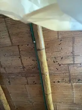 juliie star online show from 16, 10, 2025