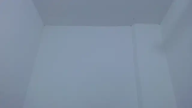 carolina zabala 19 online show from 17, 12, 2025