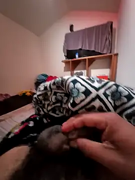 uratre online show from 18, 12, 2025