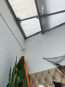 TweetiePieXXX online show from 31, 10, 2025