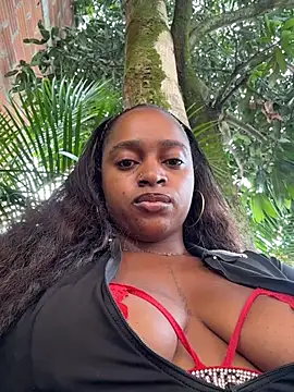 darle volant online show from 19, 4, 2026