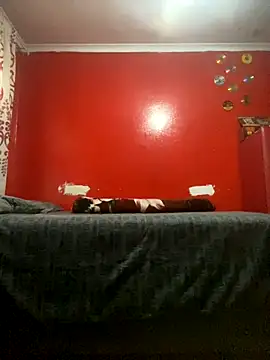 Snapshot of BaggyDirt chatting on 29, 11, 2025 BaggyDirt online show from 29, 11, 2025