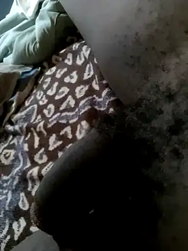 KingBonga online show from 14, 9, 2025