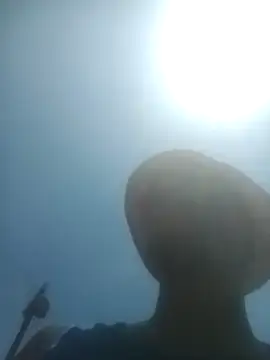 KingBonga online show from 10, 2, 2026