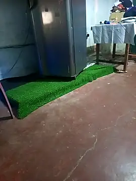 BabyHansi online show from 29, 3, 2026