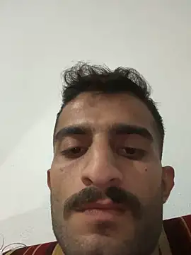 Ylcn11 online show from 15, 11, 2025