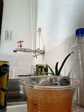 Exoticovergon online show from 6, 11, 2025