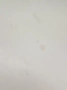 guridosul051 online show from 12, 1, 2026