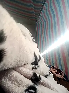 jienrrr online show from 26, 11, 2025