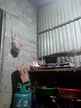 jienrrr online show from 11, 11, 2025