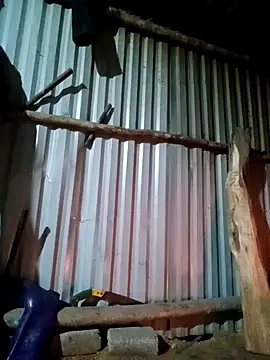 jienrrr online show from 3, 12, 2025