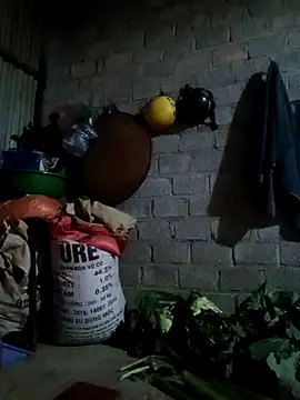 jienrrr online show from 24, 2, 2026