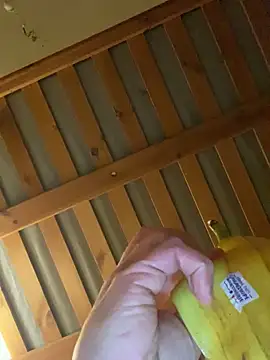 jackadi33 online show from 1, 3, 2026