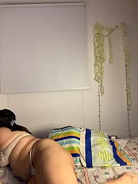 Velma star online show from 19, 2, 2026