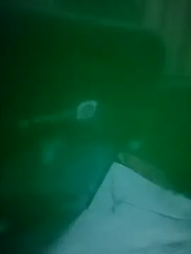 daisylouis online show from 3, 4, 2026