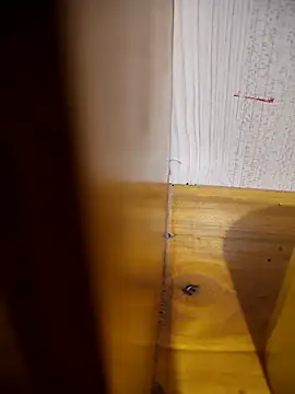 daisylouis online show from 21, 4, 2026