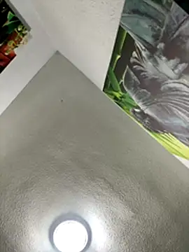 Snapshot of aavrdvh33 chatting on 27, 11, 2025 aavrdvh33 online show from 27, 11, 2025