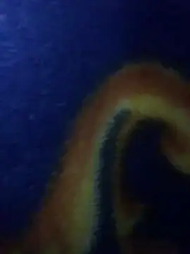 Aq2006 online show from 4, 3, 2026