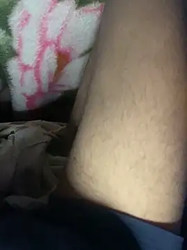 Aq2006 online show from 5, 3, 2026