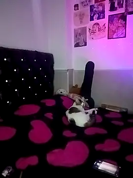 venusobryan 55 online show from 7, 4, 2026