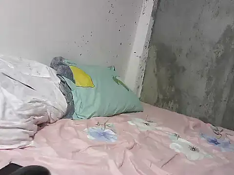 xxwild pussyxx online show from 24, 2, 2026