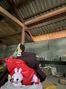 ThiHa003 online show from 26, 3, 2026