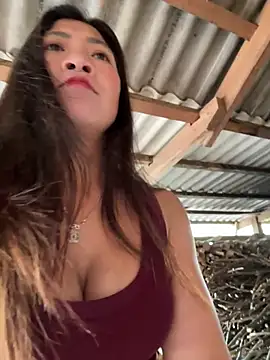 ThiHa003 online show from 7, 2, 2026