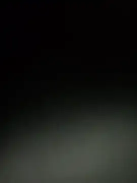 Cnutt310 online show from 21, 4, 2026